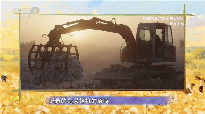 《地上的云朵》：当新疆的云絮坠落在棉田里