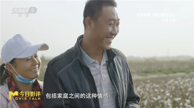 《地上的云朵》：当新疆的云絮坠落在棉田里